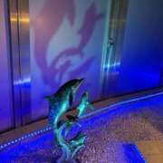 ヒメ日記 2025/05/10 11:04 投稿 とんとろ 札幌ススキノちゃんこ