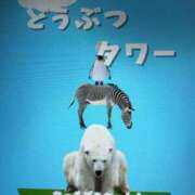 ヒメ日記 2025/05/14 00:04 投稿 とんとろ 札幌ススキノちゃんこ