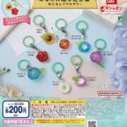 ヒメ日記 2025/05/17 11:28 投稿 とんとろ 札幌ススキノちゃんこ