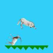 ヒメ日記 2025/05/17 12:44 投稿 とんとろ 札幌ススキノちゃんこ