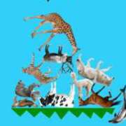 ヒメ日記 2025/05/19 16:04 投稿 とんとろ 札幌ススキノちゃんこ