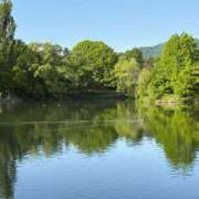 ヒメ日記 2025/05/27 09:24 投稿 とんとろ 札幌ススキノちゃんこ