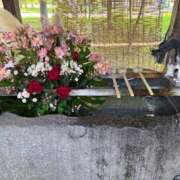 ヒメ日記 2025/05/27 13:05 投稿 とんとろ 札幌ススキノちゃんこ