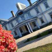 ヒメ日記 2025/05/27 21:04 投稿 とんとろ 札幌ススキノちゃんこ