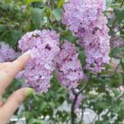 ヒメ日記 2025/05/28 03:34 投稿 とんとろ 札幌ススキノちゃんこ