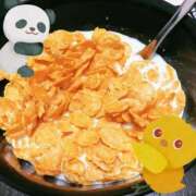 ヒメ日記 2025/06/06 14:14 投稿 とんとろ 札幌ススキノちゃんこ