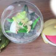 ヒメ日記 2025/06/11 17:25 投稿 とんとろ 札幌ススキノちゃんこ