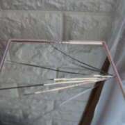 ヒメ日記 2025/06/19 20:54 投稿 とんとろ 札幌ススキノちゃんこ