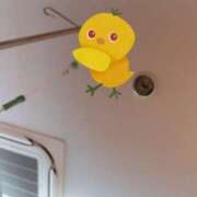 ヒメ日記 2025/07/01 12:44 投稿 とんとろ 札幌ススキノちゃんこ