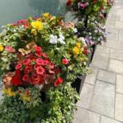 ヒメ日記 2025/07/16 02:14 投稿 とんとろ 札幌ススキノちゃんこ