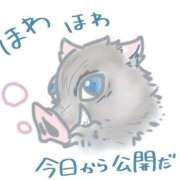 ヒメ日記 2025/07/18 22:14 投稿 とんとろ 札幌ススキノちゃんこ