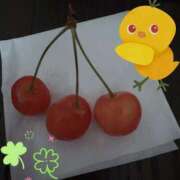 ヒメ日記 2025/07/29 03:04 投稿 とんとろ 札幌ススキノちゃんこ