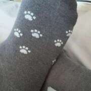 ヒメ日記 2025/08/03 19:52 投稿 とんとろ 札幌ススキノちゃんこ