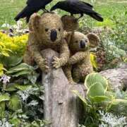 ヒメ日記 2025/08/04 14:44 投稿 とんとろ 札幌ススキノちゃんこ