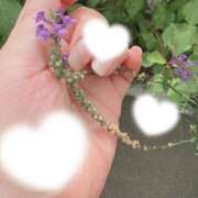 ヒメ日記 2025/08/16 22:15 投稿 とんとろ 札幌ススキノちゃんこ