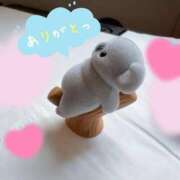 ヒメ日記 2025/08/22 23:14 投稿 とんとろ 札幌ススキノちゃんこ