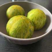 ヒメ日記 2025/08/27 22:14 投稿 とんとろ 札幌ススキノちゃんこ