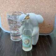 ヒメ日記 2025/08/28 03:14 投稿 とんとろ 札幌ススキノちゃんこ