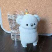 ヒメ日記 2025/08/30 22:04 投稿 とんとろ 札幌ススキノちゃんこ