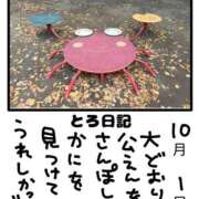 ヒメ日記 2025/10/01 17:34 投稿 とんとろ 札幌ススキノちゃんこ