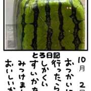 ヒメ日記 2025/10/02 23:54 投稿 とんとろ 札幌ススキノちゃんこ