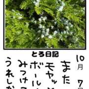 ヒメ日記 2025/10/07 23:04 投稿 とんとろ 札幌ススキノちゃんこ