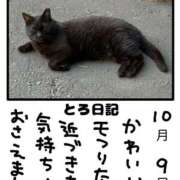 ヒメ日記 2025/10/09 14:24 投稿 とんとろ 札幌ススキノちゃんこ