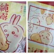 ヒメ日記 2025/10/15 18:14 投稿 とんとろ 札幌ススキノちゃんこ