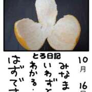 ヒメ日記 2025/10/16 17:54 投稿 とんとろ 札幌ススキノちゃんこ