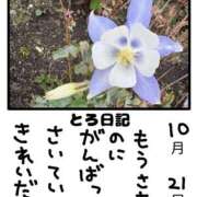 ヒメ日記 2025/10/21 18:54 投稿 とんとろ 札幌ススキノちゃんこ