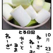 ヒメ日記 2025/10/23 23:24 投稿 とんとろ 札幌ススキノちゃんこ