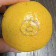 ヒメ日記 2025/11/05 10:05 投稿 とんとろ 札幌ススキノちゃんこ