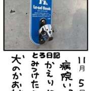 ヒメ日記 2025/11/05 22:04 投稿 とんとろ 札幌ススキノちゃんこ