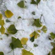 ヒメ日記 2025/11/08 22:14 投稿 とんとろ 札幌ススキノちゃんこ