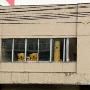 ヒメ日記 2025/11/12 00:34 投稿 とんとろ 札幌ススキノちゃんこ