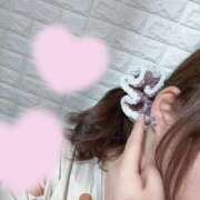 ヒメ日記 2025/11/23 23:04 投稿 とんとろ 札幌ススキノちゃんこ