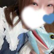 ヒメ日記 2025/11/25 14:14 投稿 とんとろ 札幌ススキノちゃんこ