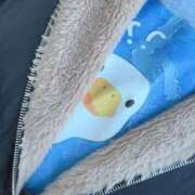 ヒメ日記 2025/11/28 17:44 投稿 とんとろ 札幌ススキノちゃんこ