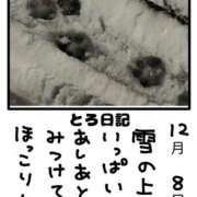 ヒメ日記 2025/12/08 22:54 投稿 とんとろ 札幌ススキノちゃんこ