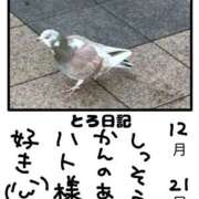 ヒメ日記 2025/12/21 17:44 投稿 とんとろ 札幌ススキノちゃんこ