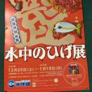 ヒメ日記 2026/01/03 22:44 投稿 とんとろ 札幌ススキノちゃんこ