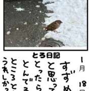 ヒメ日記 2026/01/18 23:24 投稿 とんとろ 札幌ススキノちゃんこ