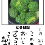 ヒメ日記 2026/01/21 10:54 投稿 とんとろ 札幌ススキノちゃんこ