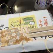 ヒメ日記 2026/01/23 04:34 投稿 とんとろ 札幌ススキノちゃんこ