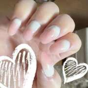 とんとろ 🙇💨 札幌ススキノちゃんこ