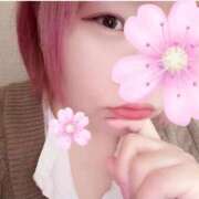 ヒメ日記 2026/04/20 15:24 投稿 とんとろ 札幌ススキノちゃんこ