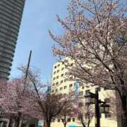 ヒメ日記 2026/04/26 13:04 投稿 とんとろ 札幌ススキノちゃんこ