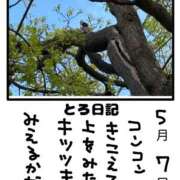 ヒメ日記 2026/05/07 19:04 投稿 とんとろ 札幌ススキノちゃんこ