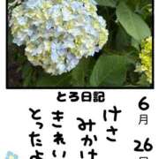 ヒメ日記 2026/06/26 22:54 投稿 とんとろ 札幌ススキノちゃんこ