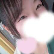 ヒメ日記 2026/09/19 12:04 投稿 とんとろ 札幌ススキノちゃんこ